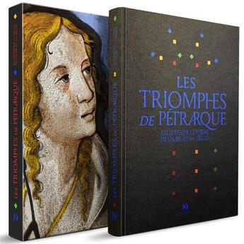 Couverture du livre « Les triomphes de Pétrarque illustrés par le vitrail de l'Aube au XVIe siècle » de Petrarque aux éditions Diane De Selliers