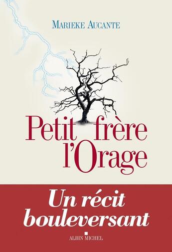 Couverture du livre « Petit frère l'orage » de Marieke Aucante aux éditions Albin Michel