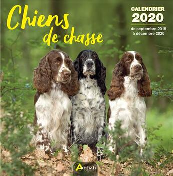 Couverture du livre « Calendrier chiens de chasse (2020) » de  aux éditions Artemis