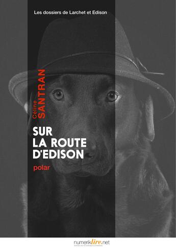 Couverture du livre « Sur la route d'Edison » de Celine Santran aux éditions Numeriklivres