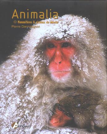 Couverture du livre « Animalia ; Mammiferes Et Oiseaux Du Monde » de Pierre Damangeat aux éditions Artemis