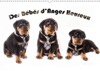 Couverture du livre « Des Bébés d'Anges Heureux (Calendrier mural 2020 DIN A3 horizontal) ; Le Rottweiler, race canine de toute beauté, impressionnant, il est surtout une boule de poil à aimer. (Calendrier mensuel, 14 Pages ) » de Seidler et Jcsreation aux éditions Calvendo