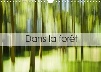 Couverture du livre « Dans la foret calendrier mural 2020 din a4 horizontal - une suite d images prises en c » de Chaplot Guillau aux éditions Calvendo