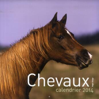 Couverture du livre « Calendrier mural chevaux 2014 » de  aux éditions Hugo Image