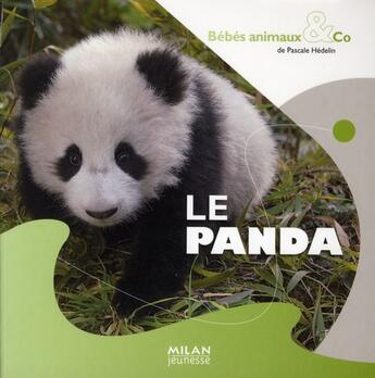 Couverture du livre « Panda » de Amandine Labarre aux éditions Milan