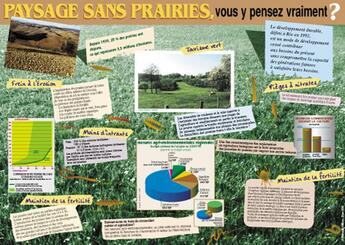 Couverture du livre « Paysages sans prairies, vous y pensez vraiment ? » de Michel Huber et Sylvie Granger et Gaillard Claire aux éditions Educagri