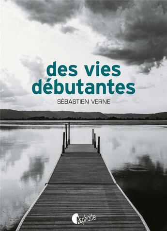 Couverture du livre « Des vies débutantes » de Sebastien Verne aux éditions Asphalte