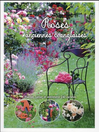 Couverture du livre « Roses anglaises et anciennes ; planter, tailler et entretenir 240 variétés » de Midori Goto aux éditions Larousse