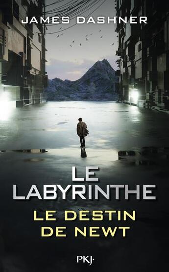 Couverture du livre « Le labyrinthe : le destin de Newt » de James Dashner aux éditions Pocket Jeunesse