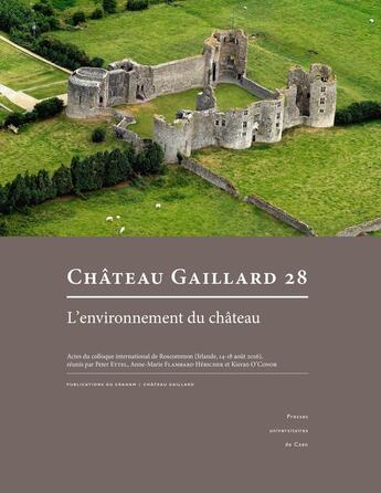 Couverture du livre « Château Gaillard, n° 28 : Études de castellologie médiévale » de Ettel Peter aux éditions Pu De Caen