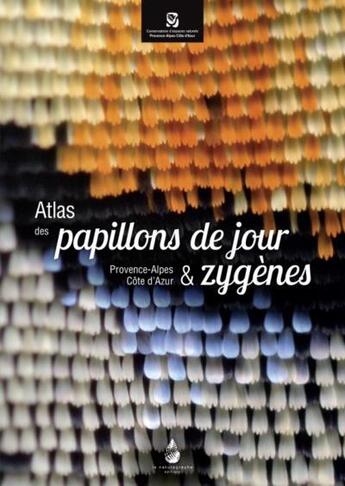 Couverture du livre « Atlas des papillons de jour & zygènes : Provence-Alpes-Côte d'Azur » de Stephane Bence et Sonia Richaud aux éditions Le Naturographe