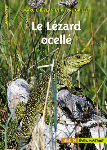 Couverture du livre « Le lezard ocelle » de Cheylan/Grillet aux éditions Belin