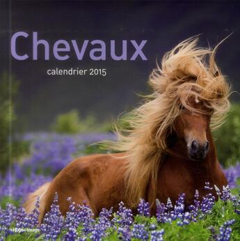 Couverture du livre « Chevaux ; calendrier 2015 » de  aux éditions Hugo Image