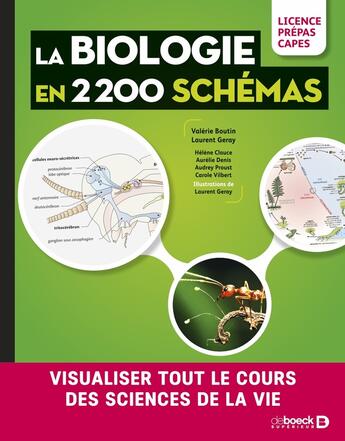 Couverture du livre « Biologie en schémas » de Valerie Boutin et Laurent Geray et Carole Vilbert et Helene Clauce et Tanguy Jean et Johann Krauss aux éditions De Boeck Superieur