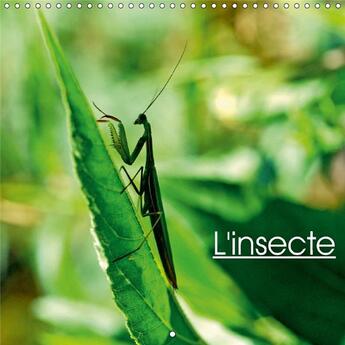 Couverture du livre « L insecte calendrier mural 2018 300 300 mm square » de Thebault P aux éditions Calvendo