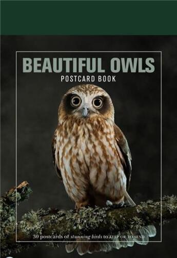 Couverture du livre « Beautiful owls postcard book » de Ivy Press aux éditions Ivy Press