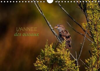 Couverture du livre « L annee des oiseaux calendrier mural 2018 din a4 horizontal - calendrier regroupant quelques » de Gans C aux éditions Calvendo