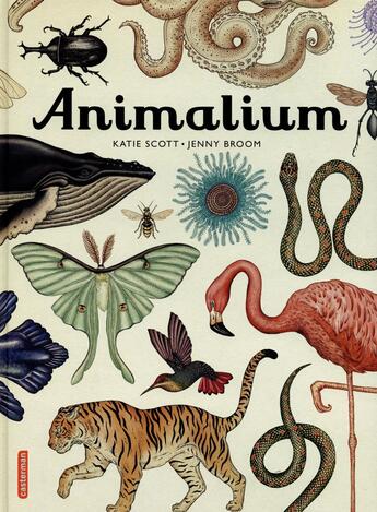 Couverture du livre « Animalium » de  aux éditions Casterman