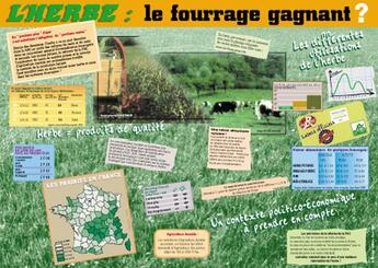 Couverture du livre « L'herbe, le fourrage gagnant ? » de Michel Huber et Sylvie Granger et Gaillard Claire aux éditions Educagri