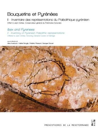 Couverture du livre « Bouquetins et Pyrénées Tome 2 : inventaire des représentations du paléolithique pyrénéen » de Aline Averbouh et Valerie Feruglio et Frederic Plassard et Georges Sauvet et Collectif aux éditions Pu De Provence