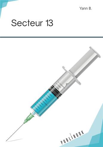 Couverture du livre « Secteur 13 » de Yann B. aux éditions Publibook