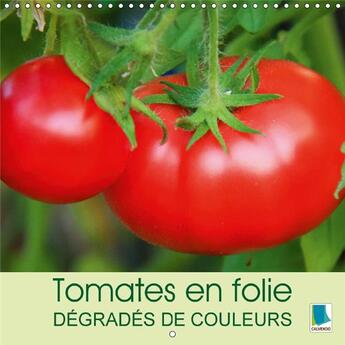 Couverture du livre « Tomates en folie degrades de couleurs calendrier mural 2018 - les tomates elles prennent tou » de Calvendo aux éditions Calvendo