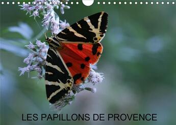 Couverture du livre « Les papillons de Provence (Calendrier mural 2020 DIN A4 horizontal) ; Les beaux papillons aux couleurs de la Provence. (Calendrier mensuel, 14 Pages ) » de Martine Julien aux éditions Calvendo