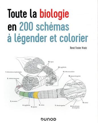 Couverture du livre « Toute la biologie en 200 schémas à légender et colorier » de Rene Fester Kratz aux éditions Dunod