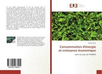 Couverture du livre « Consommation d'énergie et croissance économique » de Noufe Tiatité aux éditions Editions Universitaires Europeennes