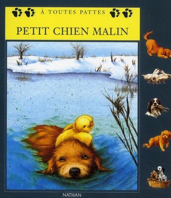 Couverture du livre « Petit chien malin » de Pepin/Geneste aux éditions Nathan