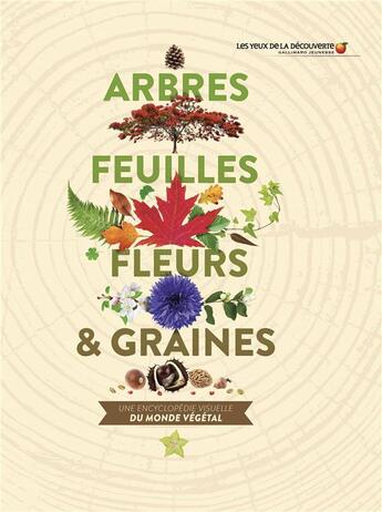 Couverture du livre « Arbres, feuilles, fleurs & graines : une encyclopédie visuelle du monde végétal » de Sarah Jose aux éditions Gallimard-jeunesse