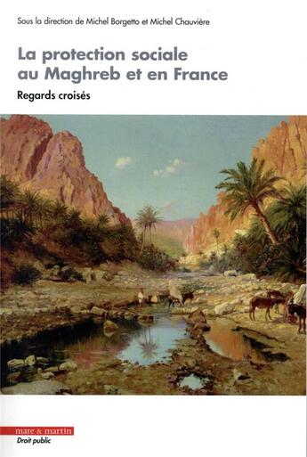 Couverture du livre « La protection sociale au Maghreb et en France » de Wafa Tamzini et Michel Chauviere et Michel Borgetto aux éditions Mare & Martin