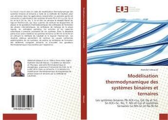 Couverture du livre « Modelisation thermodynamique des systemes binaires et ternaires » de Iddaoudi Abdellah aux éditions Editions Universitaires Europeennes