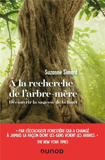 Couverture du livre « À la recherche de l'arbre-mère : découvrir la sagesse de la forêt » de Suzanne Simard aux éditions Dunod