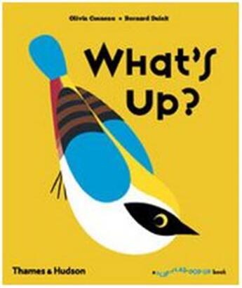 Couverture du livre « What's up? » de Cosneau Olivia aux éditions Thames & Hudson