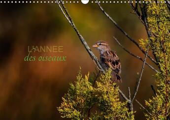 Couverture du livre « L annee des oiseaux calendrier mural 2018 din a3 horizontal - calendrier regroupant quelques » de Gans C aux éditions Calvendo