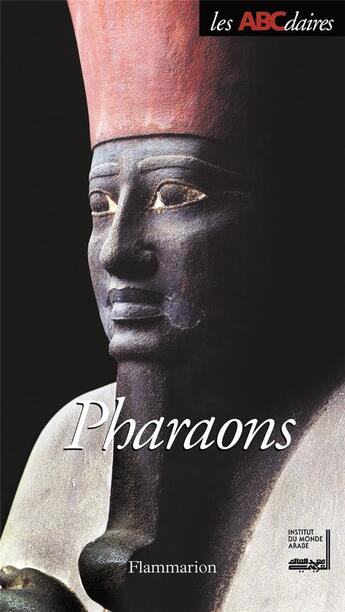 Couverture du livre « Pharaons » de Florence Maruejol et Sophie Labbee-Toutee aux éditions Flammarion
