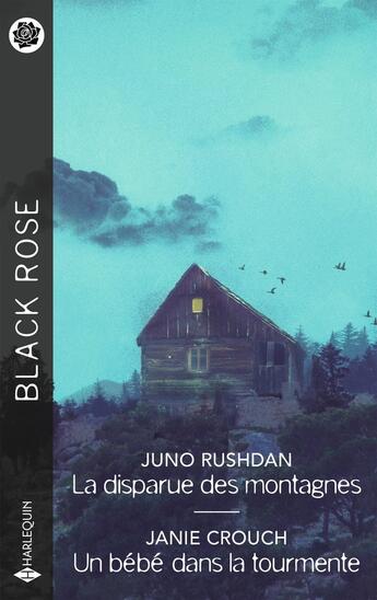 Couverture du livre « La disparue des montagnes ; Un bébé dans la tourmente » de Janie Crouch et Juno Rushdan aux éditions Harlequin