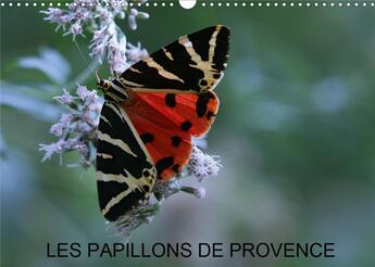 Couverture du livre « Les papillons de Provence (Calendrier mural 2020 DIN A3 horizontal) ; Les beaux papillons aux couleurs de la Provence. (Calendrier mensuel, 14 Pages ) » de Martine Julien aux éditions Calvendo