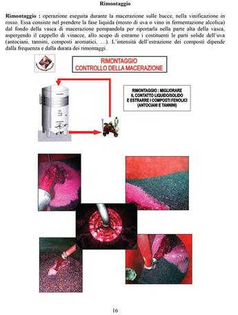 Couverture du livre « Oenologia : vinificazione in rosso » de Michel Veron aux éditions Photo Reims