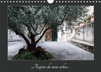 Couverture du livre « Aupres de mon arbre calendrier mural 2020 din a4 horizontal - au travers des saisons l arbre » de Photographie Ma aux éditions Calvendo