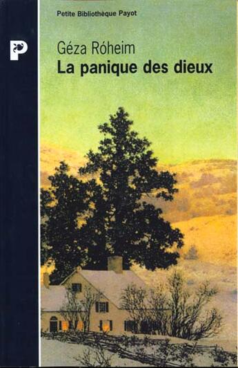 Couverture du livre « La Panique des dieux » de Roheim Geza et Roheim Gershom aux éditions Payot