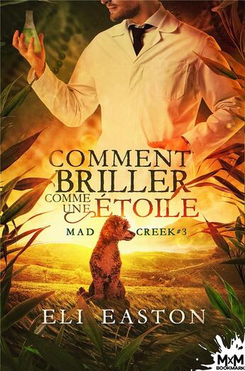 Couverture du livre « Mad creek Tome 3 ; comment briller comme une étoile » de Eli Easton aux éditions Mxm Bookmark