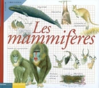 Couverture du livre « Les mamifères » de  aux éditions Circonflexe