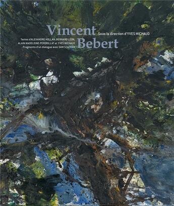 Couverture du livre « Vincent Bebert » de Yves Michaud aux éditions Somogy