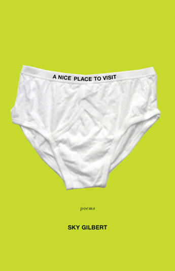 Couverture du livre « Nice Place To Visit, A » de Brian Joseph Davis et Sly Gilbert et Sky Gilbert aux éditions Ecw Press