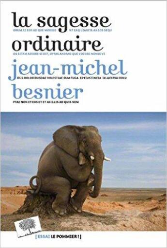 Couverture du livre « La sagesse ordinaire » de Jean-Michel Besnier aux éditions Le Pommier