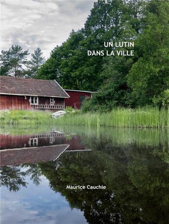 Couverture du livre « Un lutin dans la ville » de Maurice Cauchie aux éditions Librinova