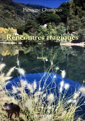 Couverture du livre « Rencontres tragiques » de Pierrette Champon aux éditions Brumerge