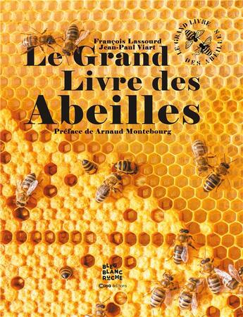 Couverture du livre « Le grand livre des abeilles » de Jean-Paul Viart et Francois Lassourd aux éditions Casa